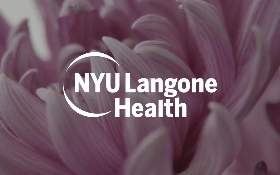 New York University – Alopecia Series